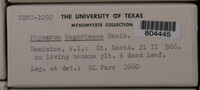 Image Associated With the Occurence